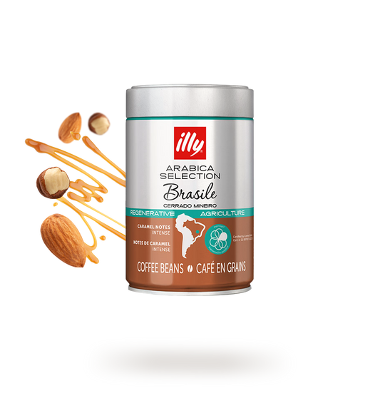 Illy Brasile Whole Beans – 250 g
