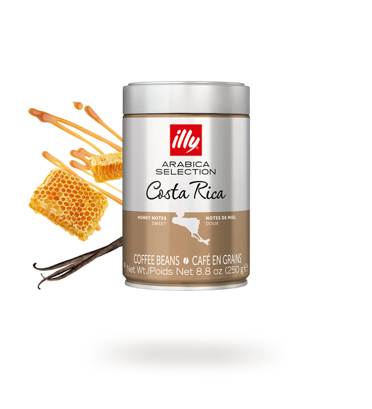 Illy Costa Rica Whole Beans – 250 g