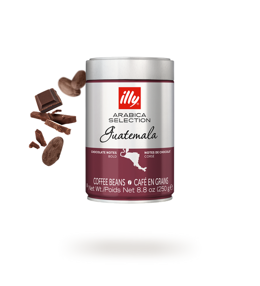 Illy Guatemala Whole Beans – 250 g